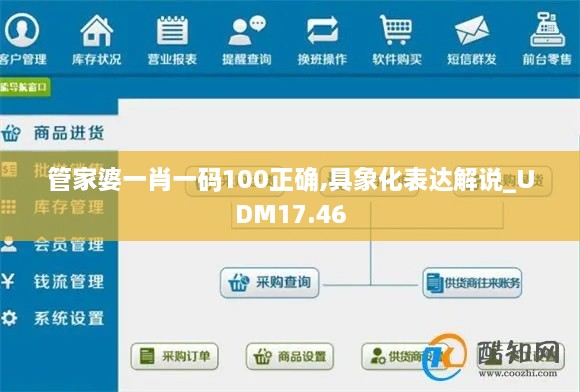 管家婆一肖一码100正确,具象化表达解说_UDM17.46