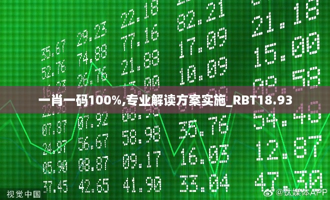 一肖一码100%,专业解读方案实施_RBT18.93