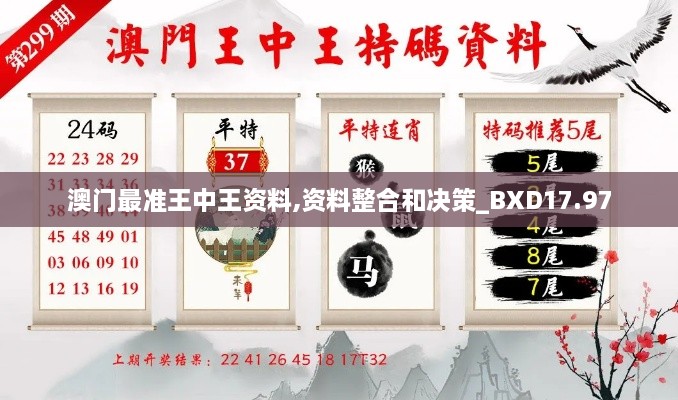 澳门最准王中王资料,资料整合和决策_BXD17.97