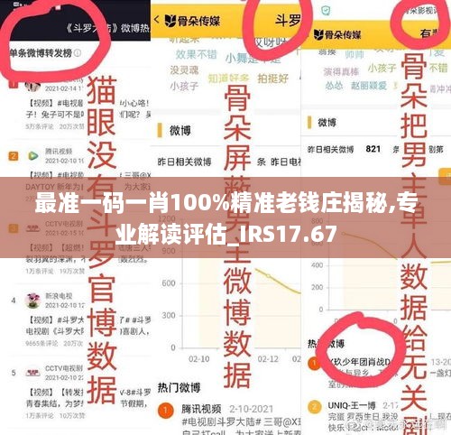 最准一码一肖100%精准老钱庄揭秘,专业解读评估_IRS17.67