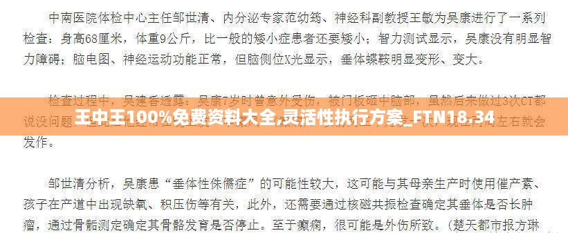 王中王100%免费资料大全,灵活性执行方案_FTN18.34