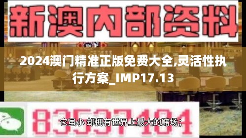 2024澳门精准正版免费大全,灵活性执行方案_IMP17.13