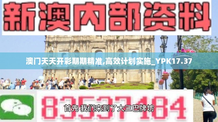 澳门天天开彩期期精准,高效计划实施_YPK17.37