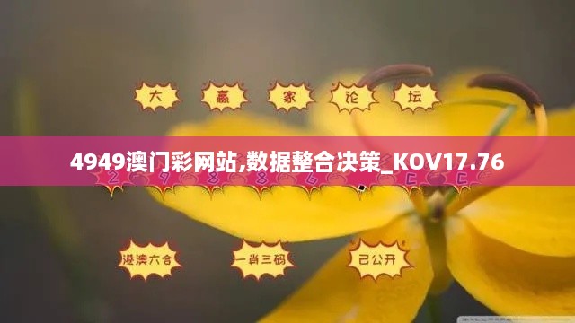 4949澳门彩网站,数据整合决策_KOV17.76