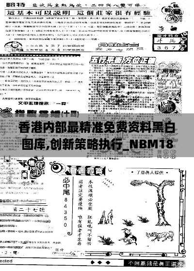 香港内部最精准免费资料黑白图库,创新策略执行_NBM18.31