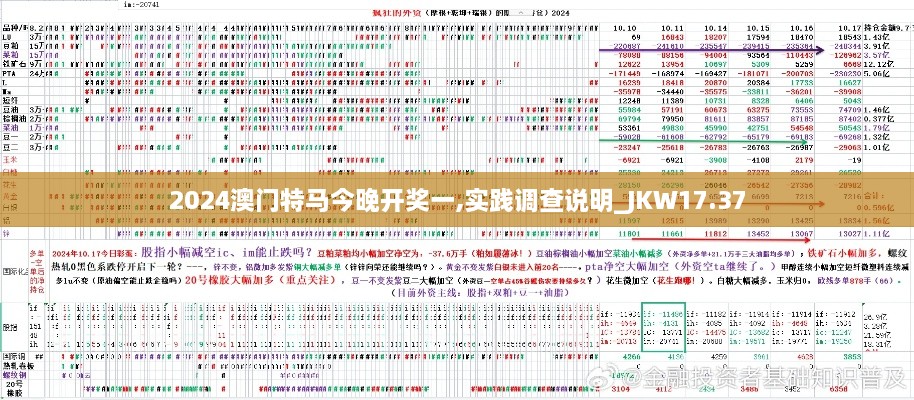 2024澳门特马今晚开奖一,实践调查说明_JKW17.37