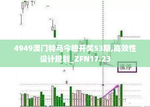 4949澳门特马今晚开奖53期,高效性设计规划_ZFN17.23