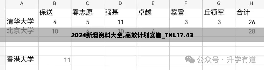 2024新澳资料大全,高效计划实施_TKL17.43