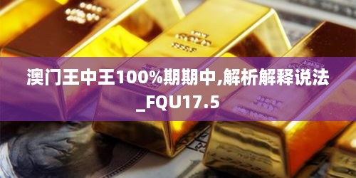 澳门王中王100%期期中,解析解释说法_FQU17.5