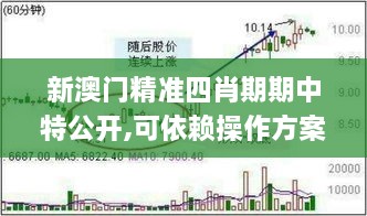 新澳门精准四肖期期中特公开,可依赖操作方案_GEF17.59