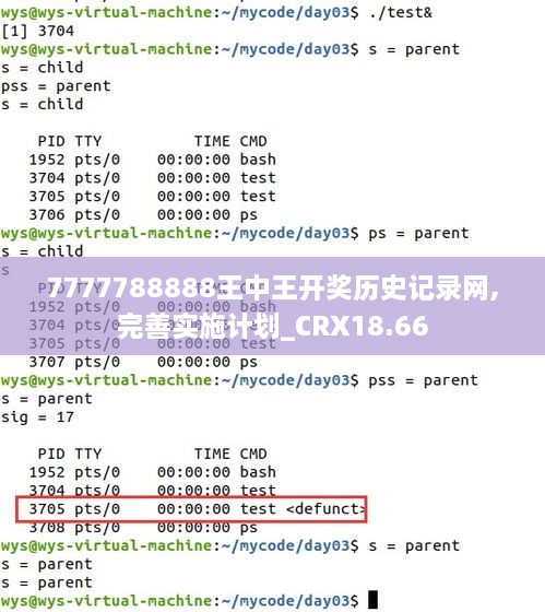 7777788888王中王开奖历史记录网,完善实施计划_CRX18.66