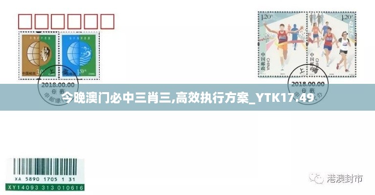 今晚澳门必中三肖三,高效执行方案_YTK17.49