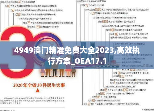 4949澳门精准免费大全2023,高效执行方案_OEA17.1