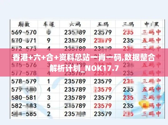 香港+六+合+资料总站一肖一码,数据整合解析计划_NOK17.7