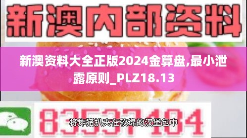 新澳资料大全正版2024金算盘,最小泄露原则_PLZ18.13