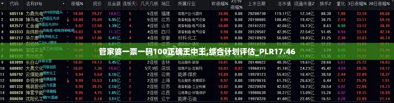 管家婆一票一码100正确王中王,综合计划评估_PLR17.46