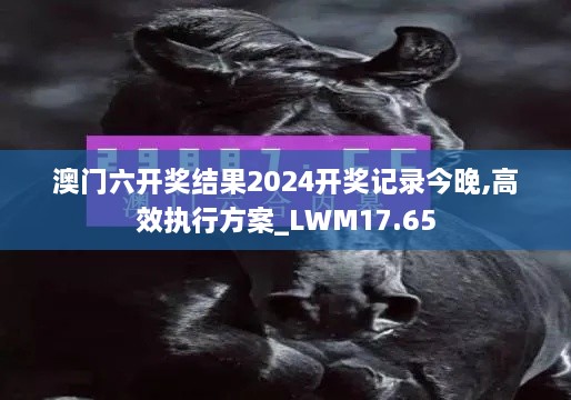 澳门六开奖结果2024开奖记录今晚,高效执行方案_LWM17.65