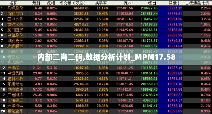 内部二肖二码,数据分析计划_MPM17.58