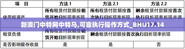 新澳门中特网中特马,可靠执行操作方式_BHU17.14