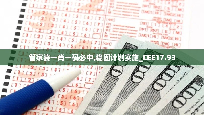 管家婆一肖一码必中,稳固计划实施_CEE17.93