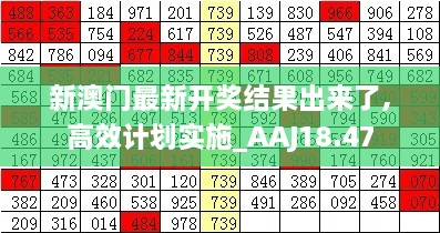 新澳门最新开奖结果出来了,高效计划实施_AAJ18.47