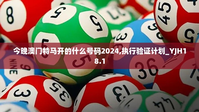 今晚澳门特马开的什么号码2024,执行验证计划_YJH18.1