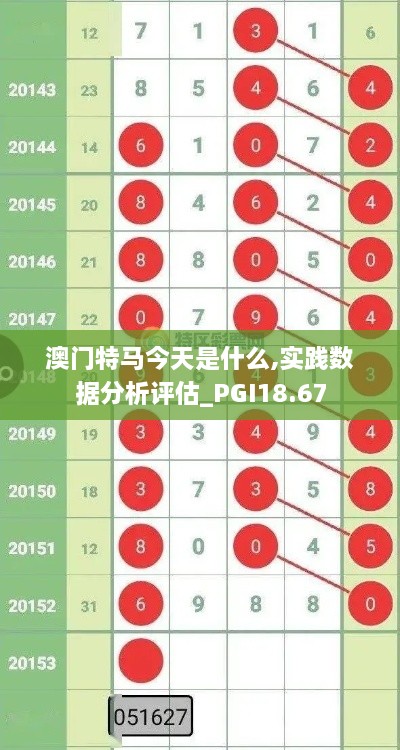 澳门特马今天是什么,实践数据分析评估_PGI18.67