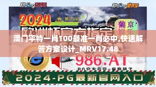 澳门平特一肖100最准一肖必中,快速解答方案设计_MRV17.48