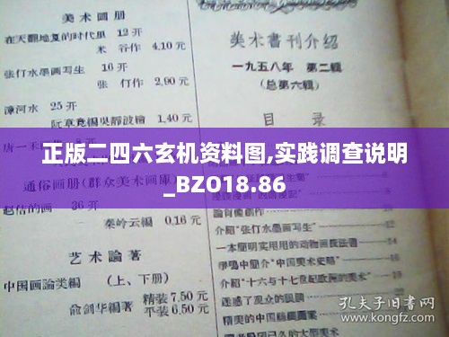 正版二四六玄机资料图,实践调查说明_BZO18.86