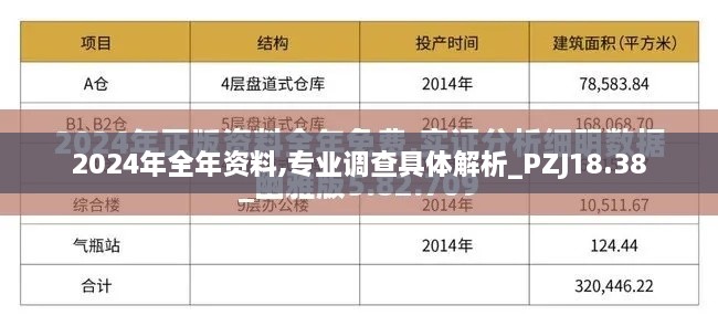 2024年全年资料,专业调查具体解析_PZJ18.38