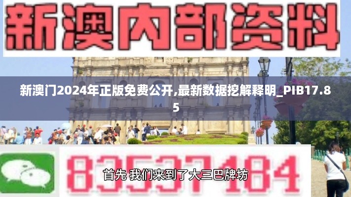 新澳门2024年正版免费公开,最新数据挖解释明_PIB17.85