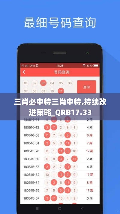 三肖必中特三肖中特,持续改进策略_QRB17.33