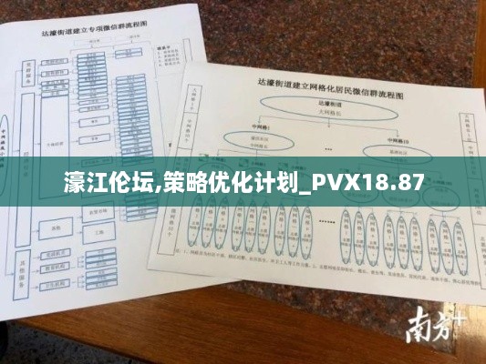 濠江伦坛,策略优化计划_PVX18.87