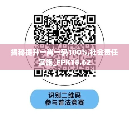 揭秘提升一肖一码100%,社会责任实施_FPK18.62