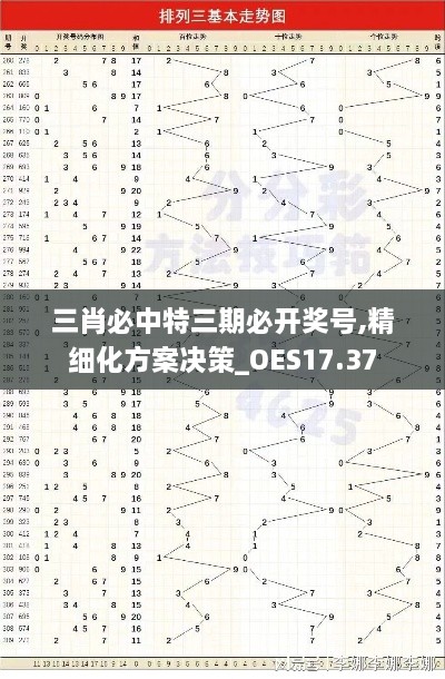 三肖必中特三期必开奖号,精细化方案决策_OES17.37