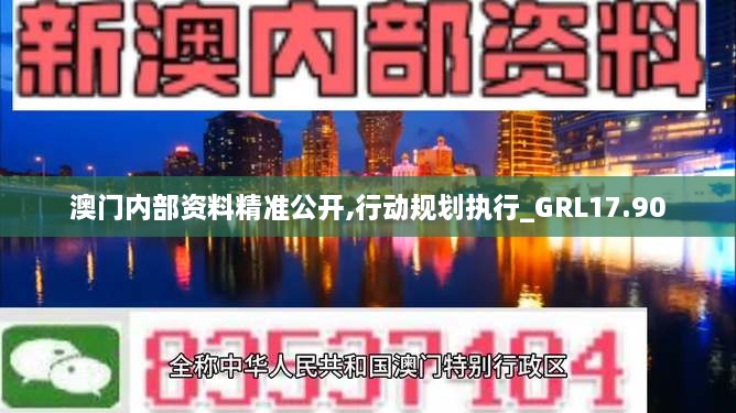 澳门内部资料精准公开,行动规划执行_GRL17.90