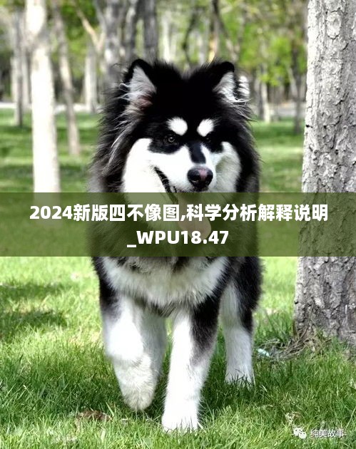 2024新版四不像图,科学分析解释说明_WPU18.47