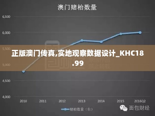 正版澳门传真,实地观察数据设计_KHC18.99