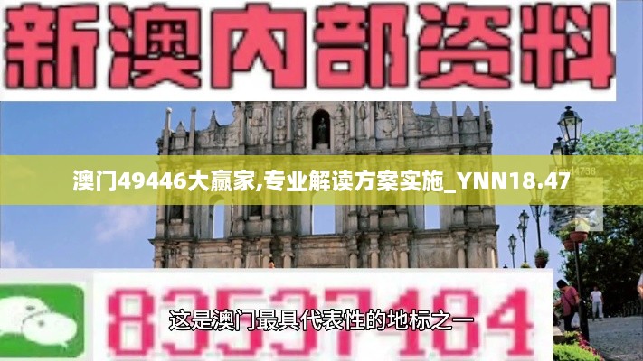 澳门49446大赢家,专业解读方案实施_YNN18.47