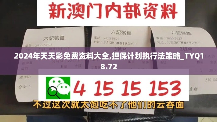 2024年天天彩免费资料大全,担保计划执行法策略_TYQ18.72