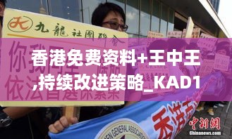 香港免费资料+王中王,持续改进策略_KAD17.41