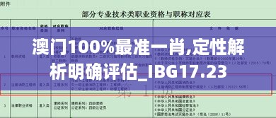 澳门100%最准一肖,定性解析明确评估_IBG17.23