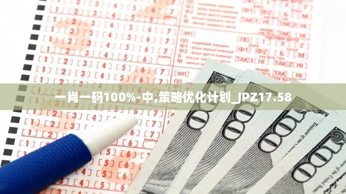 一肖一码100%-中,策略优化计划_JPZ17.58