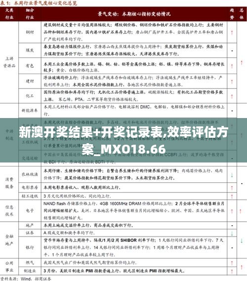 新澳开奖结果+开奖记录表,效率评估方案_MXO18.66