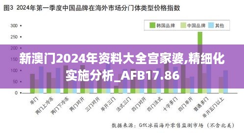 新澳门2024年资料大全宫家婆,精细化实施分析_AFB17.86