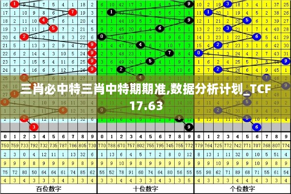 三肖必中特三肖中特期期准,数据分析计划_TCF17.63