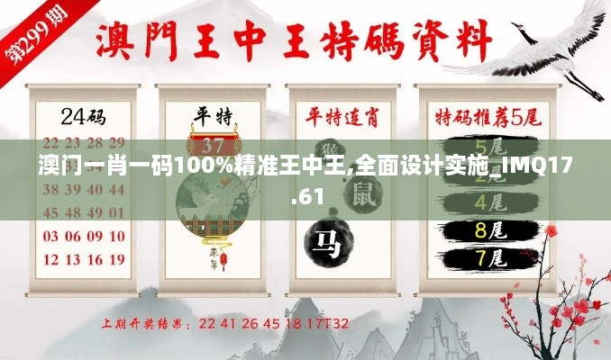 澳门一肖一码100%精准王中王,全面设计实施_IMQ17.61