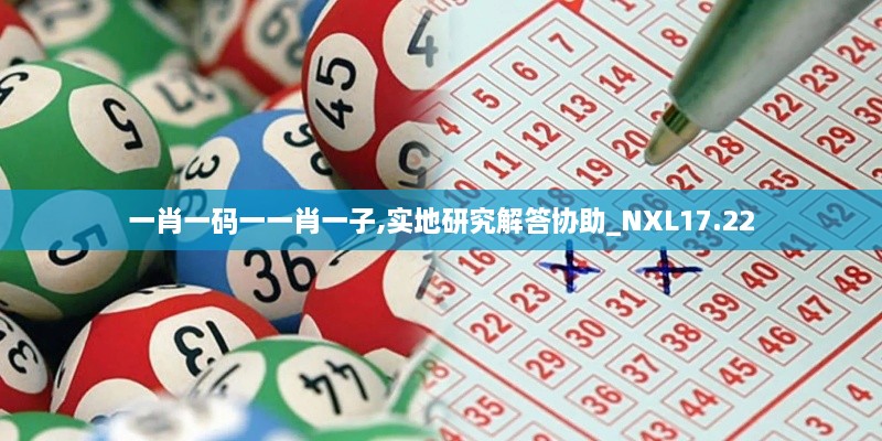 一肖一码一一肖一子,实地研究解答协助_NXL17.22