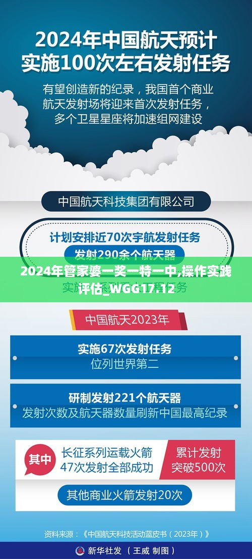 2024年管家婆一奖一特一中,操作实践评估_WGG17.12