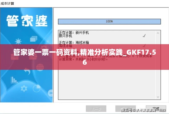 管家婆一票一码资料,精准分析实践_GKF17.56